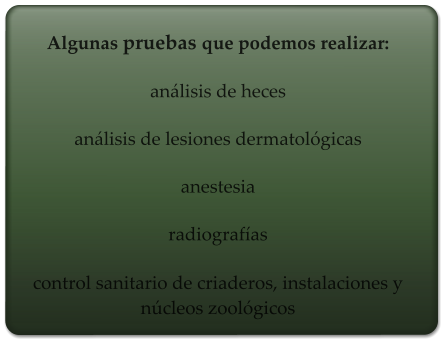 Algunas pruebas que podemos realizar:  análisis de heces  análisis de lesiones dermatológicas  anestesia  radiografías  control sanitario de criaderos, instalaciones y núcleos zoológicos