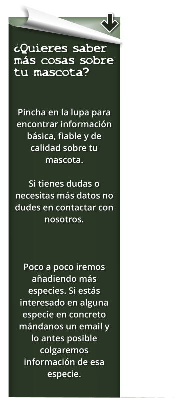 ¿Quieres saber más cosas sobre tu mascota?   Pincha en la lupa para encontrar información básica, fiable y de calidad sobre tu mascota.   Si tienes dudas o necesitas más datos no dudes en contactar con nosotros.   Poco a poco iremos añadiendo más especies. Si estás interesado en alguna especie en concreto mándanos un email y lo antes posible colgaremos información de esa especie.