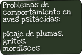 Problemas de comportamiento en aves psitácidas:  picaje de plumas, gritos,  mordiscos