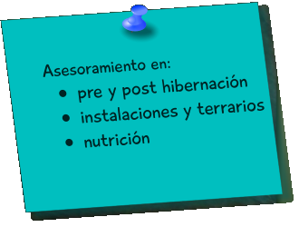 Asesoramiento en:   •	pre y post hibernación •	instalaciones y terrarios •	nutrición