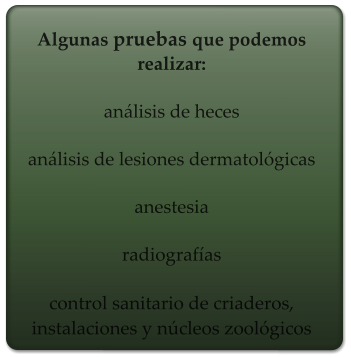 Algunas pruebas que podemos realizar:  análisis de heces  análisis de lesiones dermatológicas  anestesia  radiografías  control sanitario de criaderos, instalaciones y núcleos zoológicos