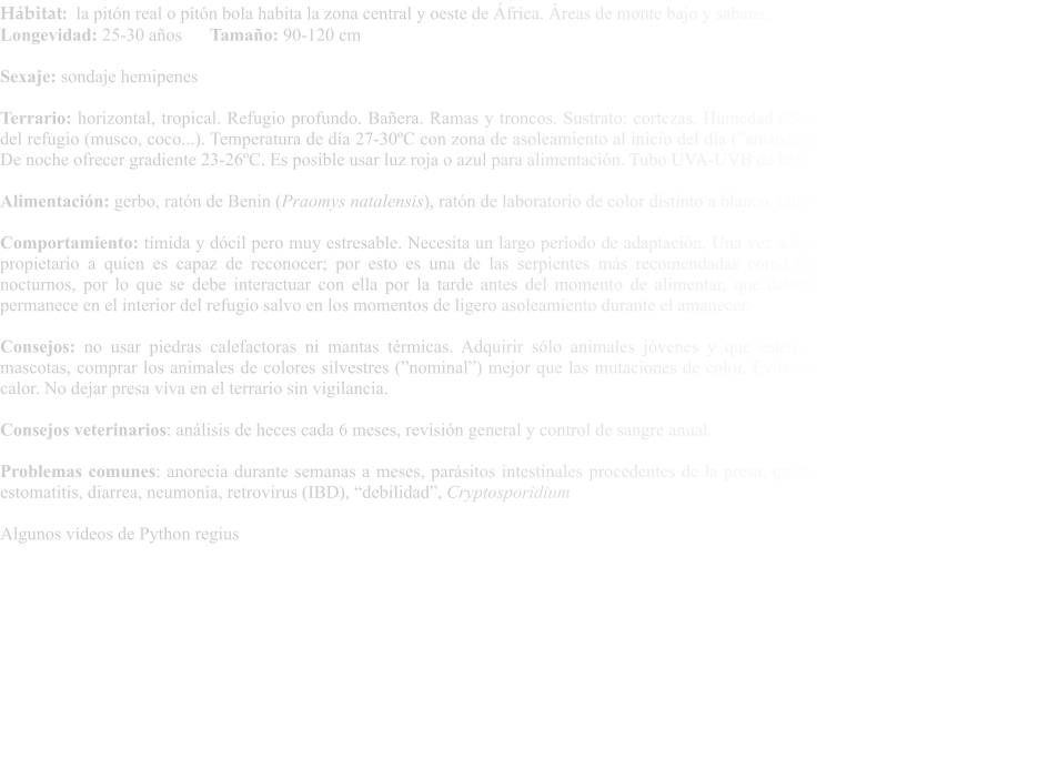 Hábitat:  la pitón real o pítón bola habita la zona central y oeste de África. Áreas de monte bajo y sabana. Longevidad: 25-30 años	Tamaño: 90-120 cm  Sexaje: sondaje hemipenes  Terrario: horizontal, tropical. Refugio profundo. Bañera. Ramas y troncos. Sustrato: cortezas. Humedad 65-80%. Mantener húmedo el fondo del refugio (musco, coco...). Temperatura de día 27-30ºC con zona de asoleamiento al inicio del día (”amanecer”) de hasta 32-34ºC (2-3 horas). De noche ofrecer gradiente 23-26ºC. Es posible usar luz roja o azul para alimentación. Tubo UVA-UVB de baja intensidad (no imprescindible).  Alimentación: gerbo, ratón de Benin (Praomys natalensis), ratón de laboratorio de color distinto a blanco. Ofrecer cada 7-10 días en jóvenes  Comportamiento: tímida y dócil pero muy estresable. Necesita un largo período de adaptación. Una vez adaptada, acepta la manipulación del propietario a quien es capaz de reconocer; por esto es una de las serpientes más recomendadas como mascota. Hábitos crepusculares a nocturnos, por lo que se debe interactuar con ella por la tarde antes del momento de alimentar, que deberá ser cerca de la noche. De día permanece en el interior del refugio salvo en los momentos de ligero asoleamiento durante el amanecer.  Consejos: no usar piedras calefactoras ni mantas térmicas. Adquirir sólo animales jóvenes y que estén comiendo con normalidad. Para mascotas, comprar los animales de colores silvestres (”nominal”) mejor que las mutaciones de color. Evitar contacto directo con los focos de calor. No dejar presa viva en el terrario sin vigilancia.  Consejos veterinarios: análisis de heces cada 6 meses, revisión general y control de sangre anual.  Problemas comunes: anorecia durante semanas a meses, parásitos intestinales procedentes de la presa, quemaduras, mordeduras de la presa, estomatitis, diarrea, neumonía, retrovirus (IBD), “debilidad”, Cryptosporidium  Algunos vídeos de Python regius