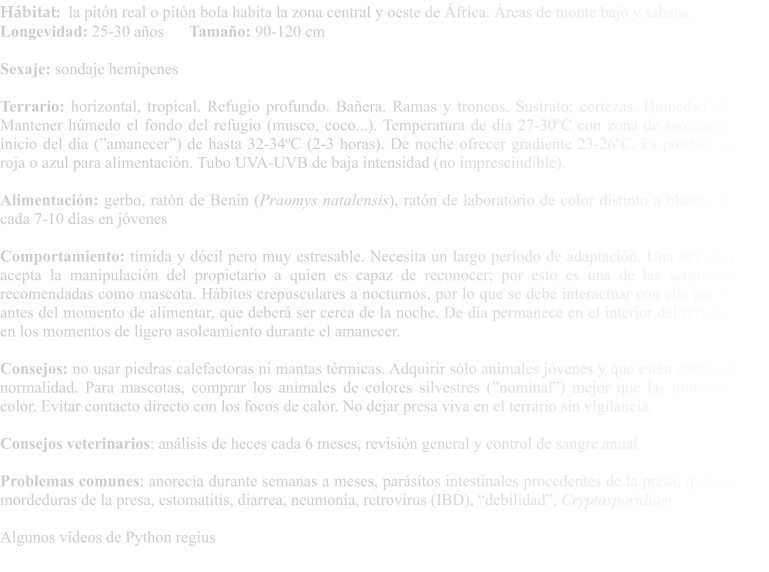 Hábitat:  la pitón real o pítón bola habita la zona central y oeste de África. Áreas de monte bajo y sabana. Longevidad: 25-30 años	Tamaño: 90-120 cm  Sexaje: sondaje hemipenes  Terrario: horizontal, tropical. Refugio profundo. Bañera. Ramas y troncos. Sustrato: cortezas. Humedad 65-80%. Mantener húmedo el fondo del refugio (musco, coco...). Temperatura de día 27-30ºC con zona de asoleamiento al inicio del día (”amanecer”) de hasta 32-34ºC (2-3 horas). De noche ofrecer gradiente 23-26ºC. Es posible usar luz roja o azul para alimentación. Tubo UVA-UVB de baja intensidad (no imprescindible).  Alimentación: gerbo, ratón de Benin (Praomys natalensis), ratón de laboratorio de color distinto a blanco. Ofrecer cada 7-10 días en jóvenes  Comportamiento: tímida y dócil pero muy estresable. Necesita un largo período de adaptación. Una vez adaptada, acepta la manipulación del propietario a quien es capaz de reconocer; por esto es una de las serpientes más recomendadas como mascota. Hábitos crepusculares a nocturnos, por lo que se debe interactuar con ella por la tarde antes del momento de alimentar, que deberá ser cerca de la noche. De día permanece en el interior del refugio salvo en los momentos de ligero asoleamiento durante el amanecer.  Consejos: no usar piedras calefactoras ni mantas térmicas. Adquirir sólo animales jóvenes y que estén comiendo con normalidad. Para mascotas, comprar los animales de colores silvestres (”nominal”) mejor que las mutaciones de color. Evitar contacto directo con los focos de calor. No dejar presa viva en el terrario sin vigilancia.  Consejos veterinarios: análisis de heces cada 6 meses, revisión general y control de sangre anual.  Problemas comunes: anorecia durante semanas a meses, parásitos intestinales procedentes de la presa, quemaduras, mordeduras de la presa, estomatitis, diarrea, neumonía, retrovirus (IBD), “debilidad”, Cryptosporidium  Algunos vídeos de Python regius