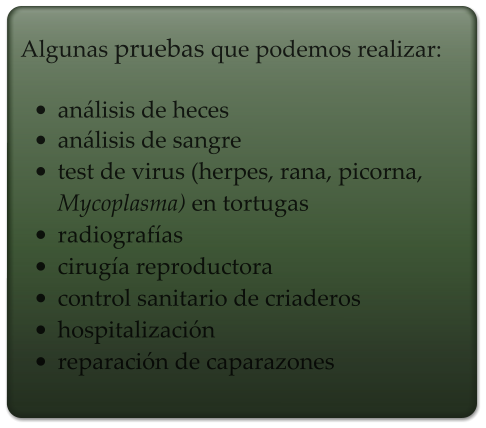 Algunas pruebas que podemos realizar:  •	análisis de heces •	análisis de sangre •	test de virus (herpes, rana, picorna, Mycoplasma) en tortugas •	radiografías •	cirugía reproductora •	control sanitario de criaderos •	hospitalización •	reparación de caparazones