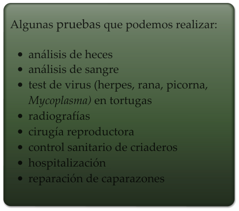 Algunas pruebas que podemos realizar:  •	análisis de heces •	análisis de sangre •	test de virus (herpes, rana, picorna, Mycoplasma) en tortugas •	radiografías •	cirugía reproductora •	control sanitario de criaderos •	hospitalización •	reparación de caparazones