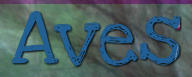 Aves